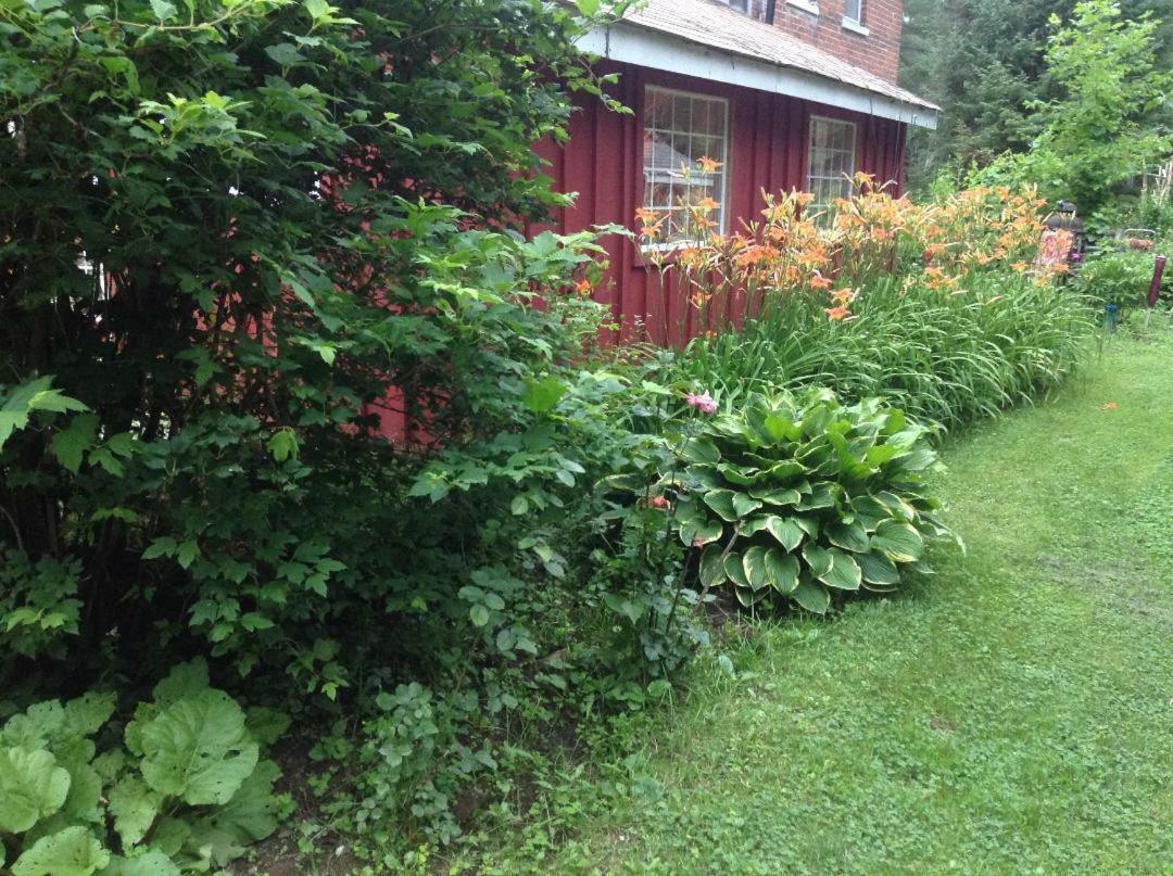 Hotel Ethel Maud Place Severn Exterior foto